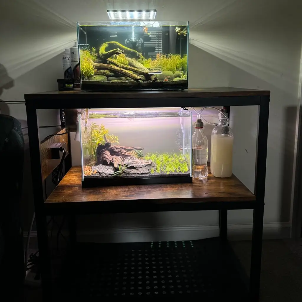 20 Gallon Long Fish Tank Stand