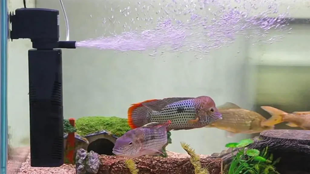 Filtration Pump for Aquariums