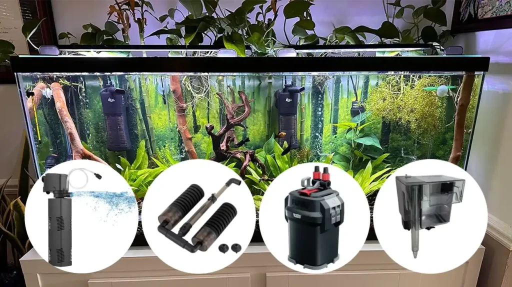 The best fish tank filter for 20 gallon tank