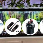 The best fish tank filter for 20 gallon tank