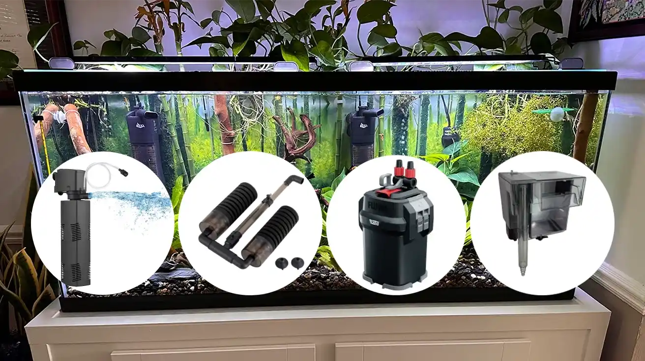 The best fish tank filter for 20 gallon tank