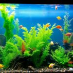 how to get rid of algae in fish tank