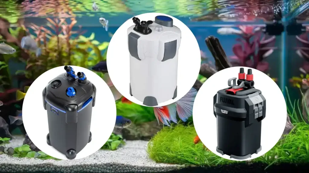 Best Canister Filters for Aquariums: Efficient Solutions for Clean, Healthy Tanks.