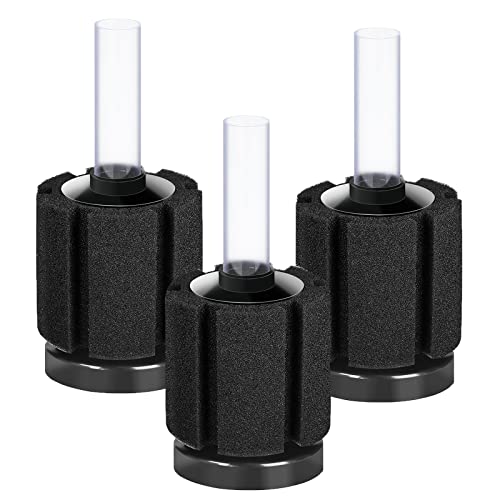Sponge Filter vs Hang On Back Filter: Which One Buyers Prefer