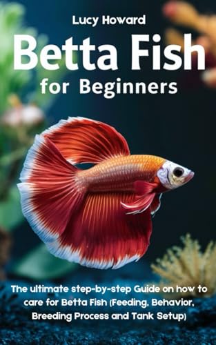 Essential Steps for Setting Up a Betta Tank Successfully