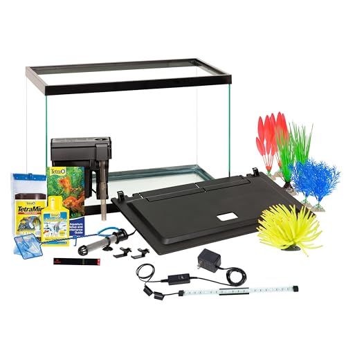 How Many Fish In A 20 Gallon Tank: Discover the Ideal Stocking