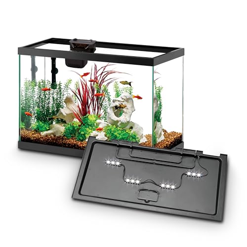Aqueon Aquarium Kit Review: Discover What Enthusiasts Love