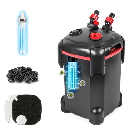 Canister Filter vs Hang On Back Filter: Which One Buyers Prefer