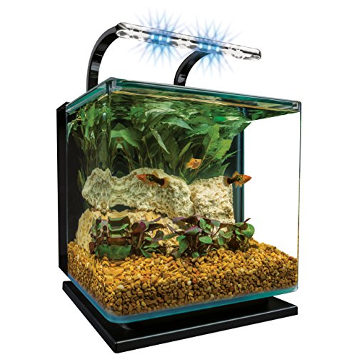 Marineland Portrait Aquarium Review: A Unique Aquatic Experience