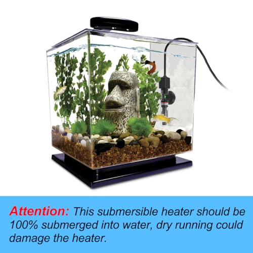 Do Betta Fish Need A Heater: Essential Insights for Fish Owners