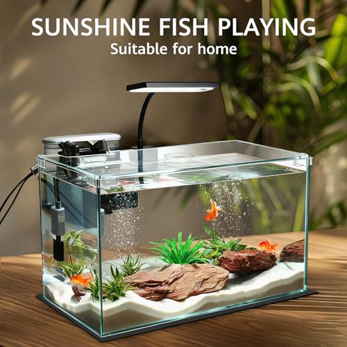 How Many Fish In A 10 Gallon Tank: Insights for Beginners