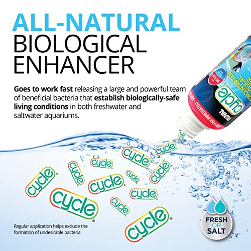 Understanding the Aquarium Nitrogen Cycle: Essential Insights