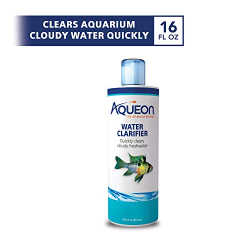 Cloudy Aquarium Water: Understanding Causes and Solutions