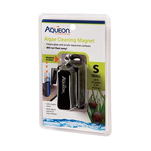 Effective Methods to Get Rid of Algae in Fish Tank