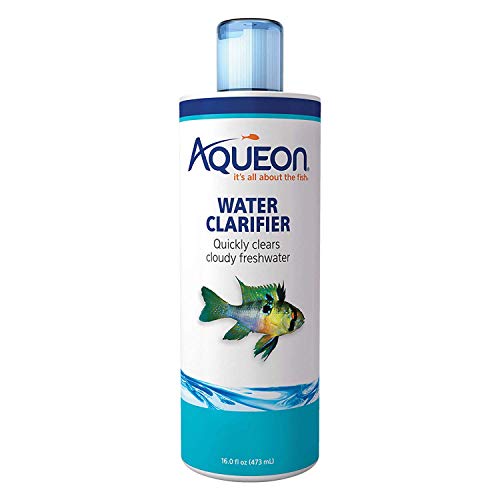 How Often to Clean Your Fish Tank for a Healthy Environment
