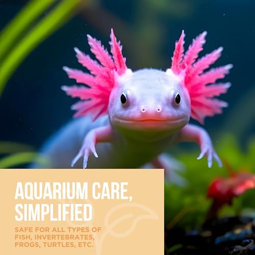 Understanding High Nitrates in Aquarium: Causes and Solutions