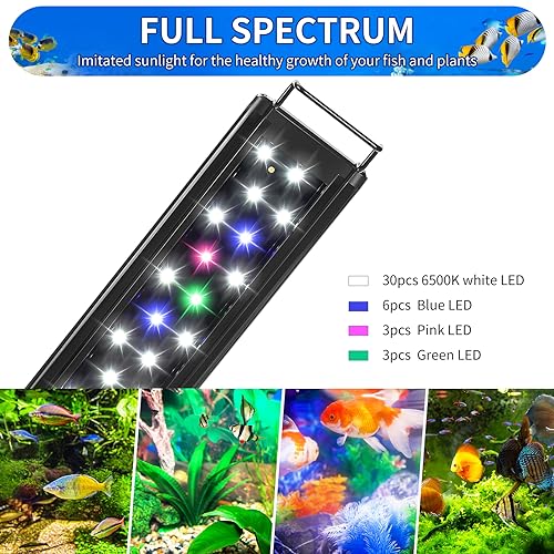 Planted Tank Light: Discover What Enthusiasts Recommend