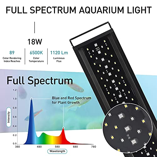 How Long Should Aquarium Lights Be On: Insights from Experts