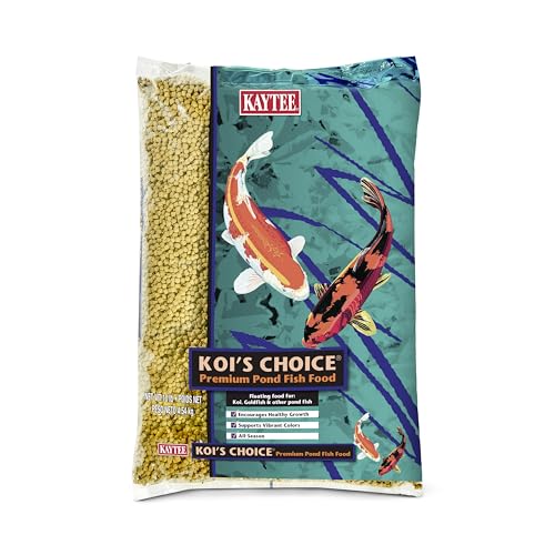 Fish Food Pellets vs Flakes: What Most Buyers Actually Choose