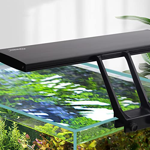 Hygger Aquarium Light Review: What Most Buyers Actually Choose Hygger Aquarium Light Review: What Most Buyers Actually Choose