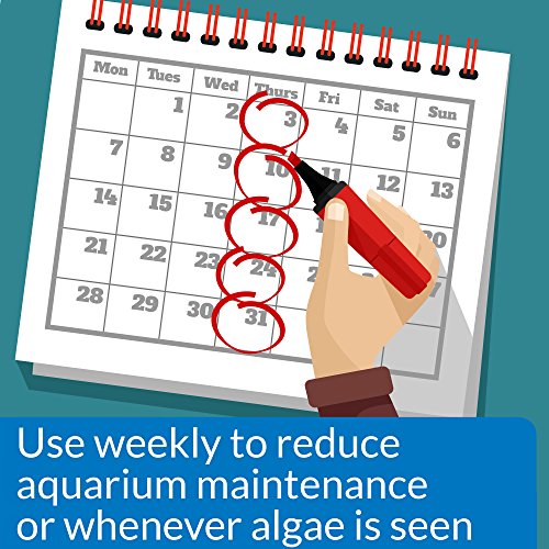 Understanding Brown Algae in Fish Tank: Causes and Solutions