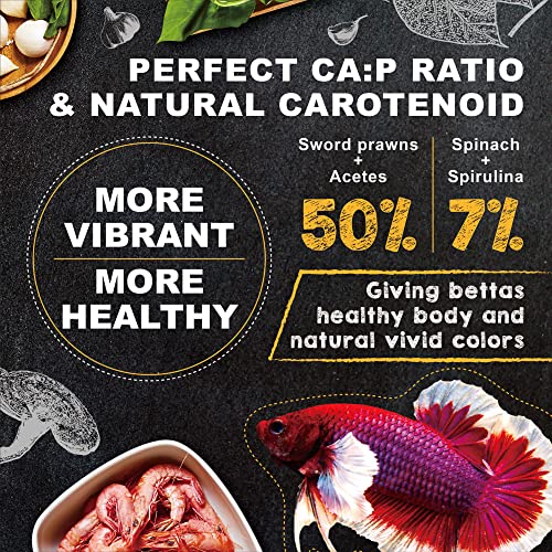Betta Fish Food: Discover What Enthusiasts Recommend Most