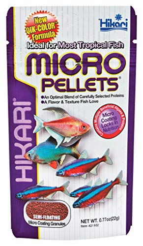 Hikari fish food review: Discover What Aquarists Are Raving About Hikari fish food review: Discover What Aquarists Are Raving About
