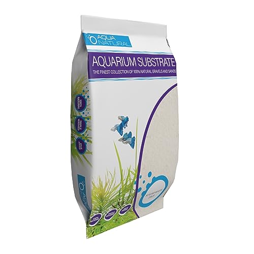 Aquarium Substrate: Discover What Enhances Aquatic Life