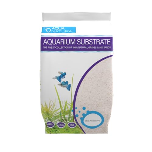 Aquarium Sand vs Gravel: What Most Buyers Actually Choose